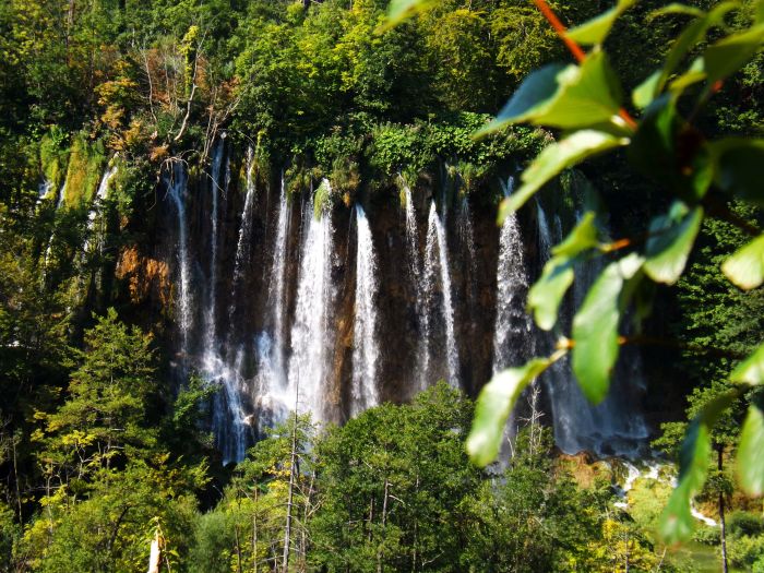 Cascadas incrustadas en los hayedos, parque nacional de Pletvice
