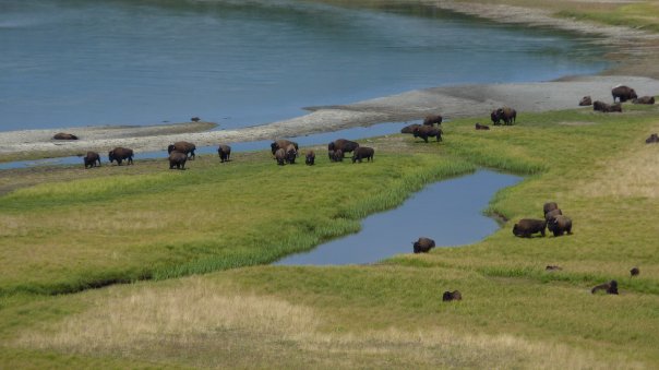 1914126_1164668530739_7440728_n