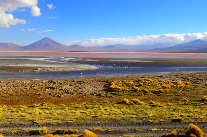 Laguna Colorada