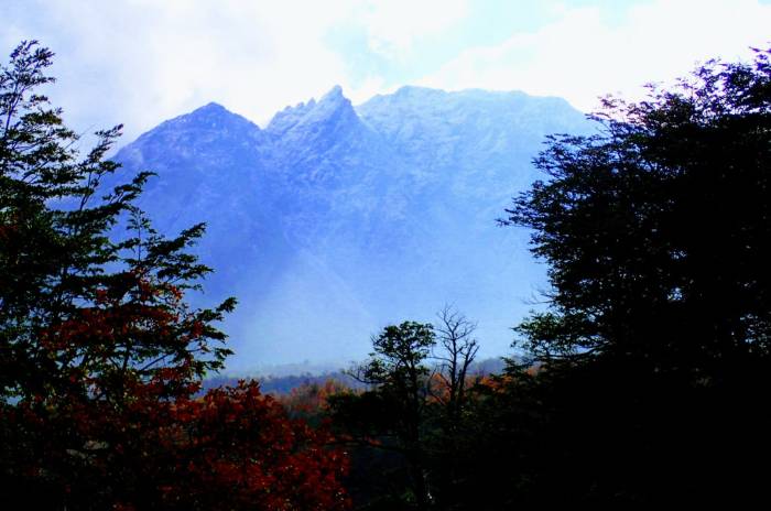 Luz de la mañana en Altos de Lircay