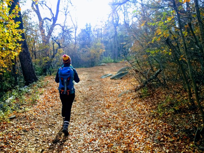 El otoño va dando lugar al invierno, camino del Enladrillado