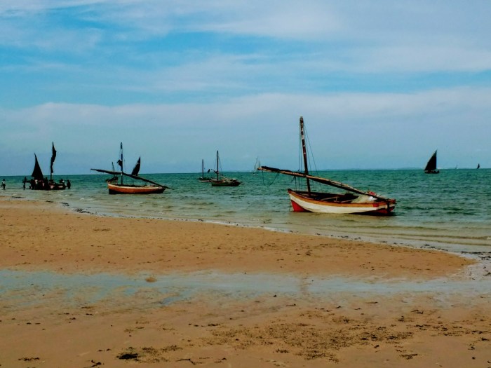 IMG_20181127_160846701