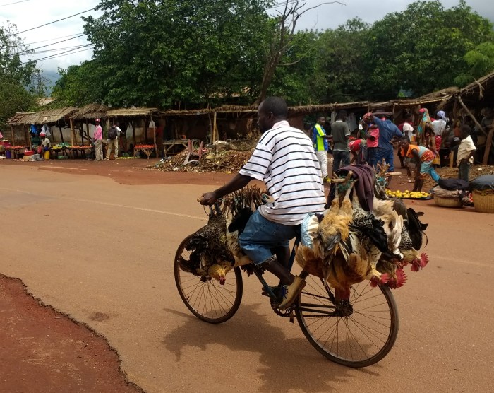 IMG_20181214_100933391