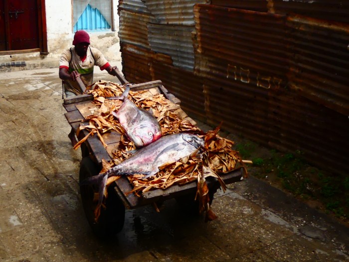 Tráfico de pescado en Stonetown