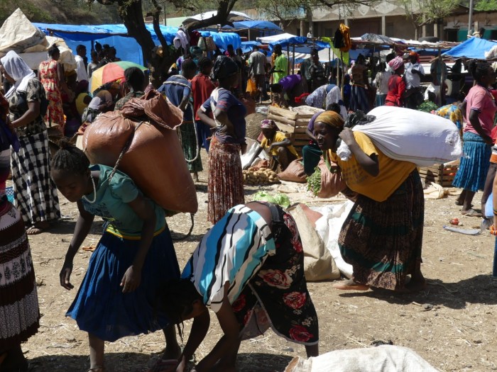 Las mujeres trabajan como animales de carga en ausencia de burros