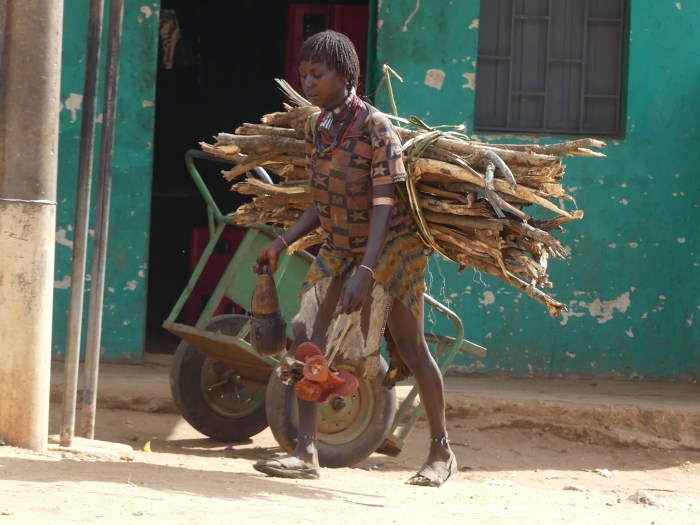 ¿Para qué carros pudiendo llevar la carga en la espalda?