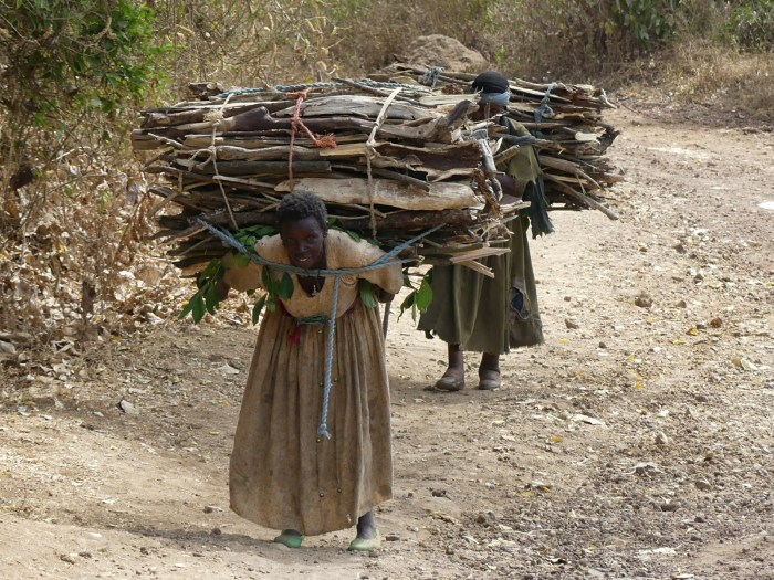 Mujeres cargadas como mulas en el lago Tana